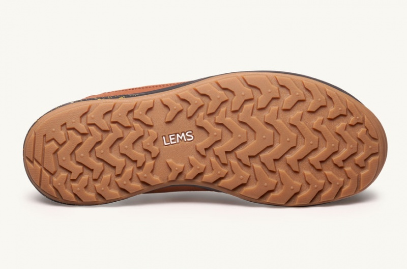 Buty Trekkingowe Lems Trailhead Brązowe Żółte Polska | GWF-27137