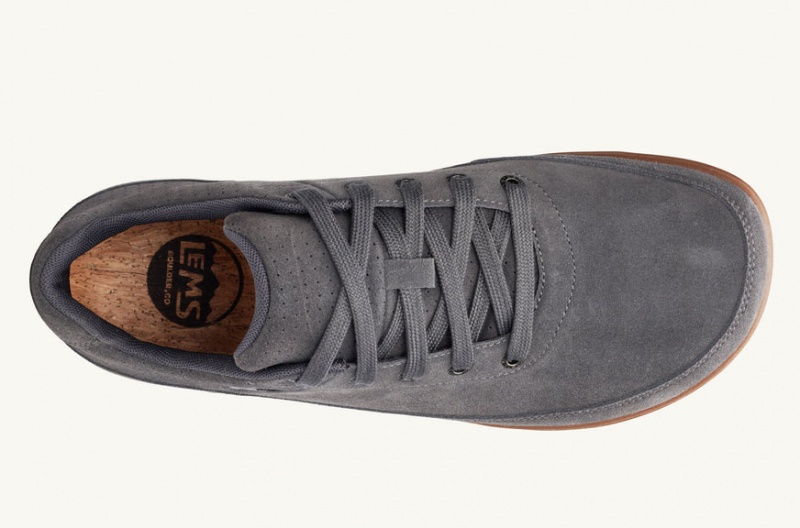 Buty Męskie Lems Chillum Zamszowe Szare Polska | UJD-68028