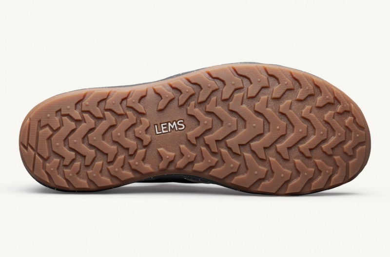 Buty Męskie Lems Mesa Beżowe Turkusowe Polska | PDP-12453