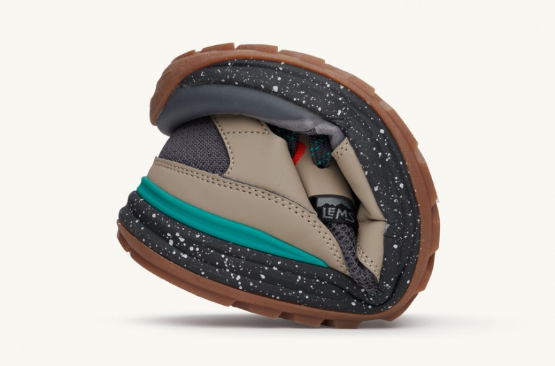 Buty Męskie Lems Mesa Beżowe Turkusowe Polska | PDP-12453